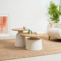 Coach Coffee Table Set