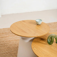 Coach Coffee Table Set