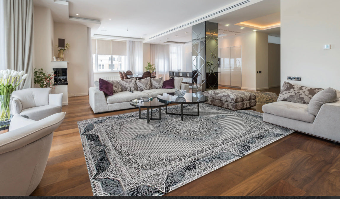 Vavien 0074 Turkish Area Rug image 1