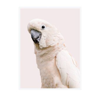 compare product Wall Art Collection 22491 White Frame